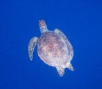IMG_6434.jpg