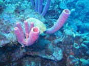 IMG_6314.jpg