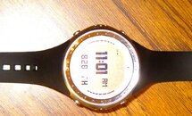 IMG_2537.jpg
