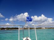 IMG_0595a.jpg