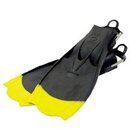 bat fins.jpg