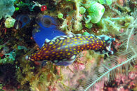 IMG_3086s.jpg