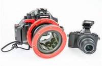 Oly-M5-Value-1a.jpg