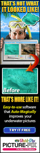 160x600_VP-Before-After.gif