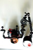 DSC09677.jpg