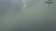 fog.jpg