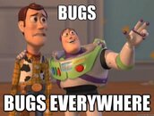 Bug-Meme.jpg