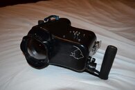 DSC_0831.jpg