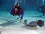 cayman30.jpg