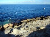 dive park boundary line pushed inshore 8620s.jpg