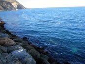 dive park boundary line pushed inshore 8622s.jpg