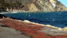 dive park wall after storm 2014-12-31-as.jpg