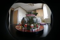 DSC02246.jpg