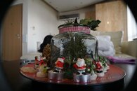 DSC02248.jpg