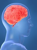 human_brain_as_belief_engine.jpg