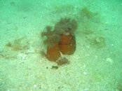 IMG_0536_small.jpg