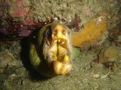 DSC05423 (Large).JPG