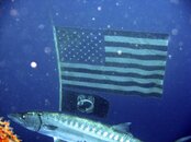 IMG_2134r1.jpg