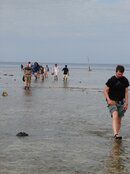 DSC01954.jpg