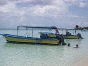 IMG_0772.jpg