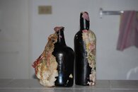 035.JPG