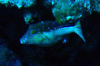 PICT0012_edited.JPG