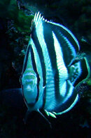 PICT0217_edited.JPG