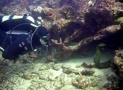 11.29.08_kevin_eel_xl.jpg