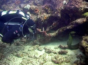 11.29.08_kevin_eel_lg.jpg