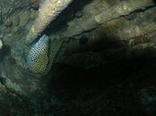 pa160186.jpg