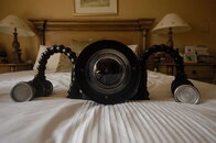 Housing&Canon01.JPG