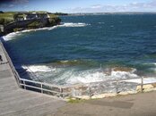 DSC07140 (Large).JPG