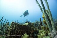 IMG_1060(watermarked)(watermarked).jpg