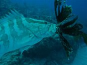 IMG_0575.jpg