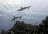 San-Salvador-Bahamas-09-FEB-2012-009.jpg
