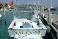 lilly m.jpg