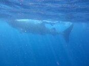IMG_0351.jpg