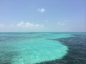 IMG_0796.jpg