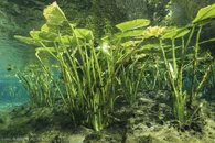 untitled-00429.jpg