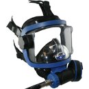 guardianmaskpic.jpg