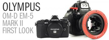 Olympus-Em5_MarkII-first-look.jpg