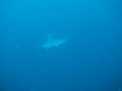 IMG_1468.jpg IMG_1468.jpg