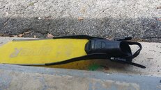 20150224_124634.jpg