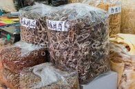 Bags-Of-Dried-Seahorses-China.jpg