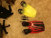 Fins and Spring Straps.jpg