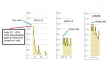 nedu_ss-compare6.jpg