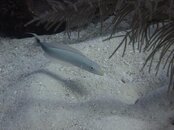 IMG_2862.jpg