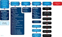 courses-chart.jpg