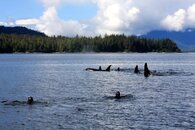 IMG_0969.jpg
