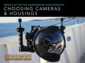 Choosing-Cameras-%u002526-Housings.jpg